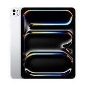 Apple 13-inch iPad Pro WiFi + Cellular 2TB with Standard Glass
